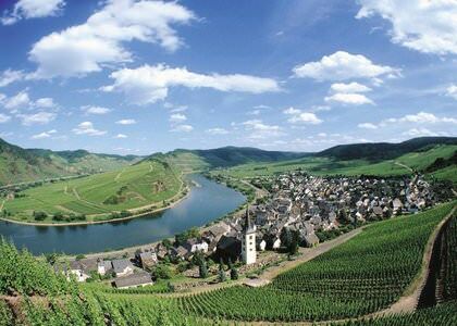 Flusskreuzfahrt mit Hund an die Mosel