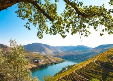 flusslandschaft am Douro