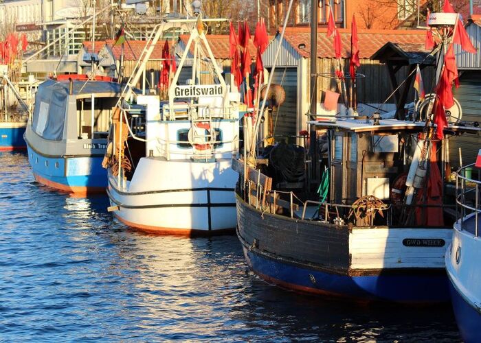 fischkutter in greifswald