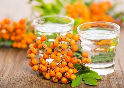 Marillen und Marillenschnaps