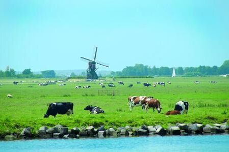 Landschaft in Holland