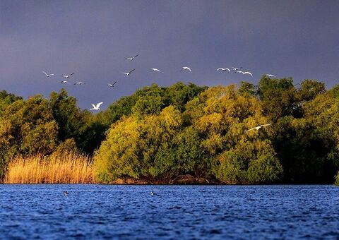 Panoramabild Donaudelta