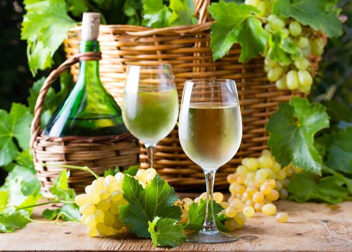 wein entlang der mosel