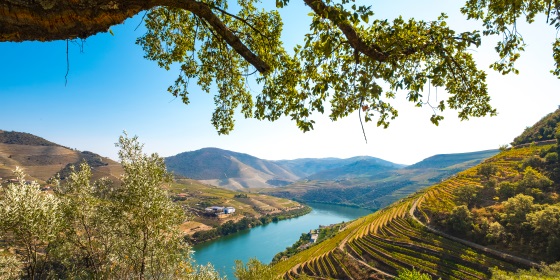 Panorama Douro